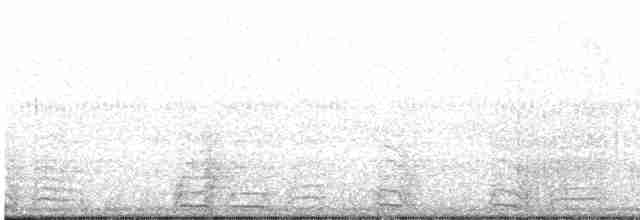 Pava Oscura - ML611242677