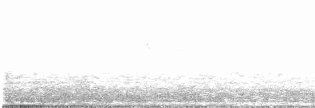 vlhovec velkoocasý - ML611243688