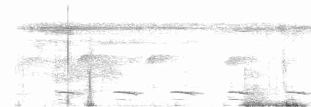 White-shouldered Antshrike - ML611244938