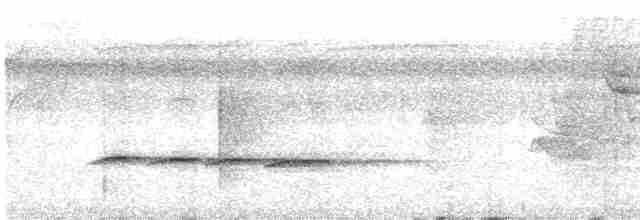 Желтобровый сорокопутовый виреон - ML611248267