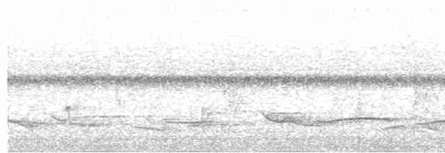 Тиран-крихітка світлогорлий - ML611248474