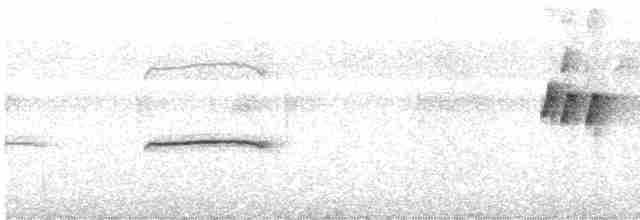Мухолов-клинодзьоб сірий - ML611248477