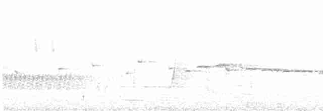 Gérygone à gorge blanche - ML611251940