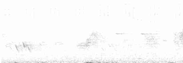 Серебристая миагра - ML611252120