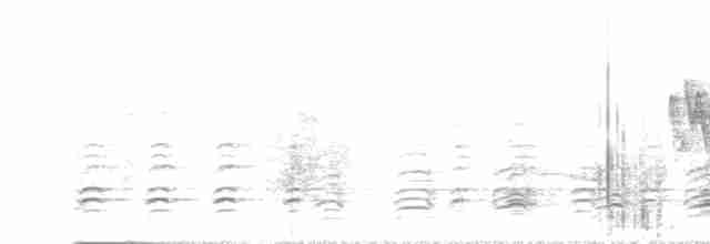 Белобрюхий орлан - ML611256840