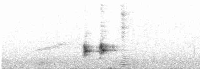 gulgumpbylbyl (analis gr.) - ML611257471