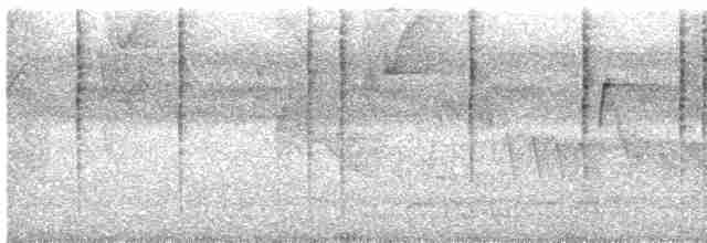 Колібрі-лісовичок буроголовий - ML611262913