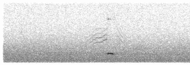 Шилохвіст жовтодзьобий - ML611263326