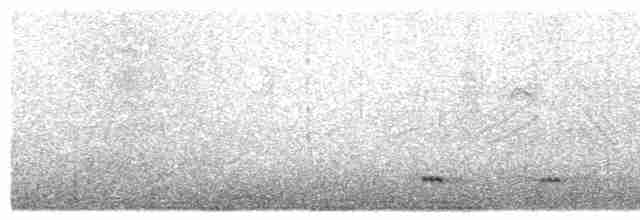 Шилохвіст жовтодзьобий - ML611263328