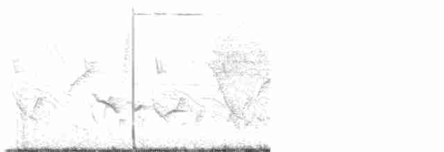 White-tailed Iora - ML611264214