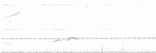 White-tailed Iora - ML611264215