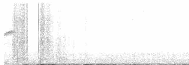 lelek běloocasý - ML611264969