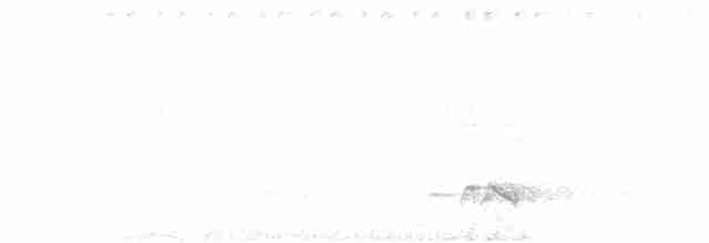 Серый тиранн-плакса - ML611269772