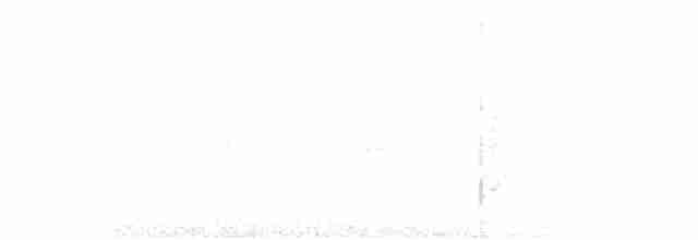 Gri Tepeli Karıncakuşu - ML611269955