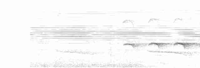 Grauschopf-Ameisenvogel - ML611269957