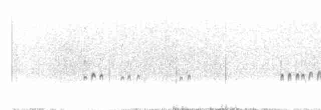Plectrophane des neiges - ML611273998
