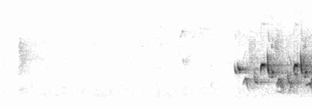 Каролинский крапивник - ML611282893