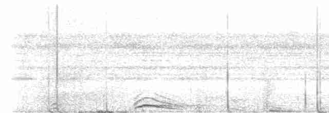 Сова-лісовик смугаста - ML611288487