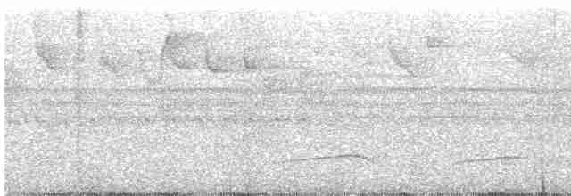 Тиран-крихітка світлогорлий - ML611288700