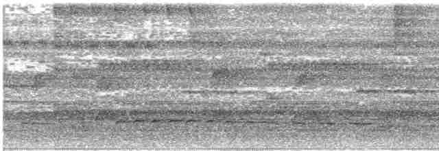 Graubrust-Ameisendrossel - ML611292008
