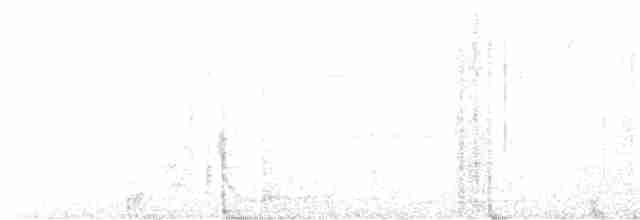Black-cheeked Warbler - ML611295915