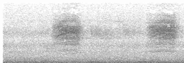 Тростниковая камышевка (fuscus) - ML611298760