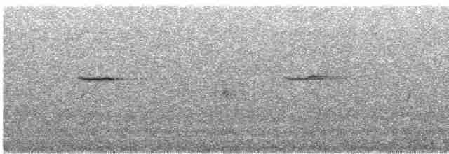 Plumbeous Redstart - ML611303849