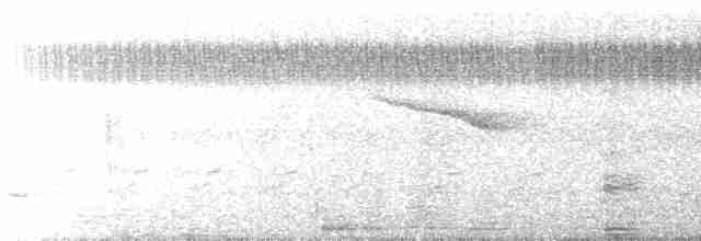 Gray-bellied Cuckoo - ML611306987