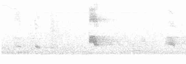 Büyük Kuyruklu Kiskal [mexicanus grubu] - ML611308206