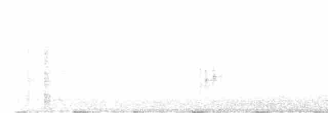 Желтоплечая пиранга - ML611308404
