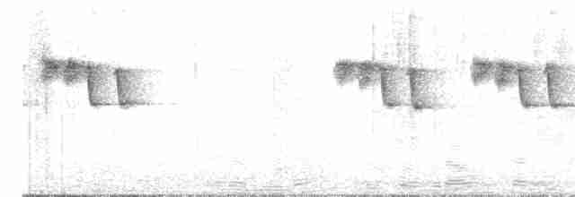 Африканская лазоревка - ML611309009