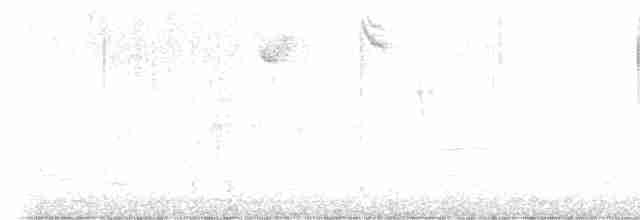 チャイロコツグミ（faxoni／crymophilus） - ML611311888