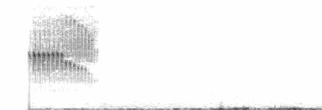 Graubrustcanastero - ML611318601