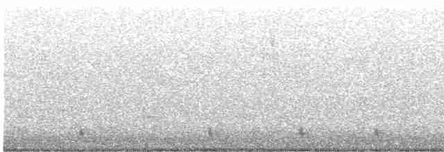 hvitbrynsvartspett - ML611322302