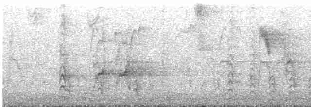 hvitbrynsvartspett - ML611322328