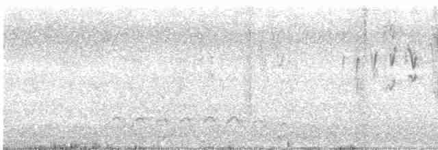 סנונית רפתות - ML611325940
