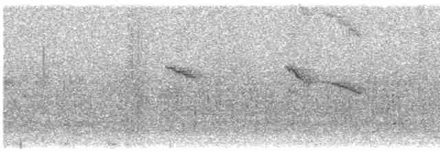 Wedge-tailed Sabrewing (Curve-winged) - ML611326177