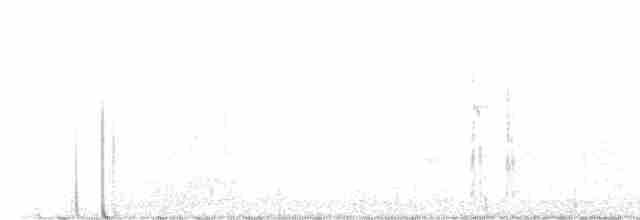 strakapoud bělohlavý - ML611329626