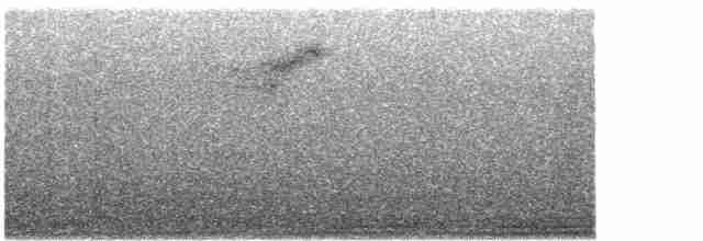 Тауї плямистий - ML611332117