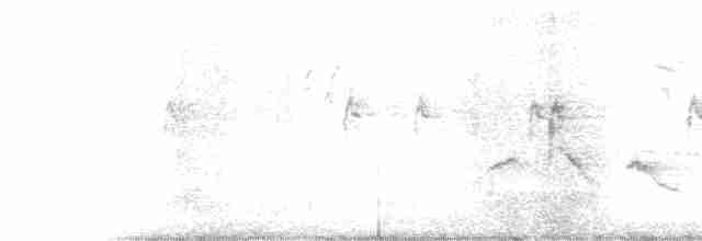 Белогорлая зонотрихия - ML611336478