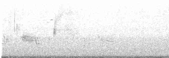 Приморская овсянка-барсучок - ML611337606