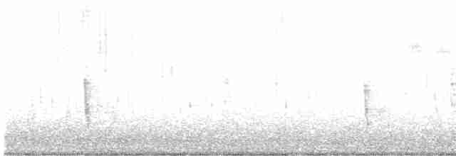 Дрозд-отшельник - ML611339824