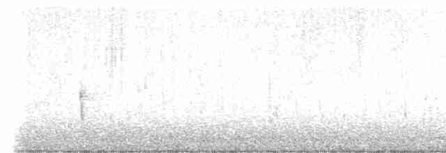 Münzevi Bülbül Ardıcı - ML611339825