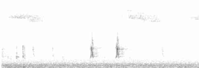 Hermit Thrush (faxoni/crymophilus) - ML611340048