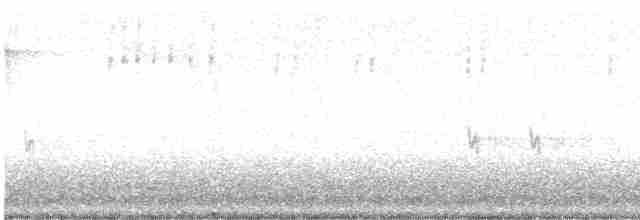 Шишкар ялиновий - ML611340120