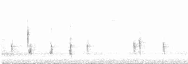 Hermit Thrush (faxoni/crymophilus) - ML611340539