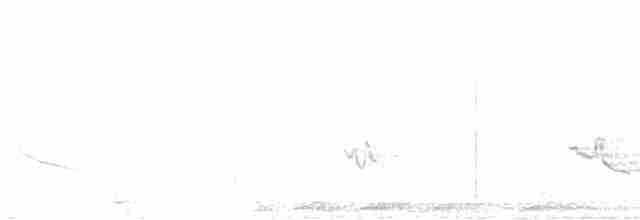 Japanese Bush Warbler - ML611344623