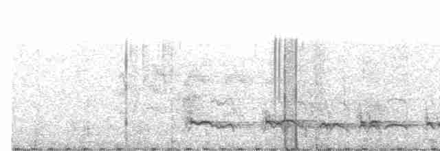 Kaatinga Pufkuşu - ML611355252