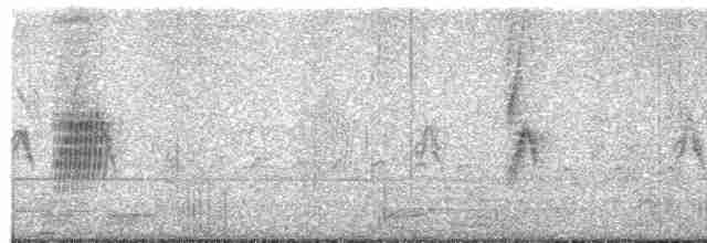 Güneyli Sert Kanatlı Kırlangıç - ML611355441