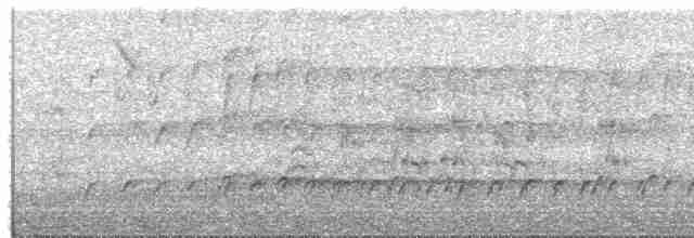 Копетон чорнодзьобий - ML611356180
